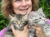 Breeder, Marie Mahoney with Siberian Kittens