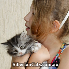 Siberian-Cat-with-kids Siberian-Cat-with-kids