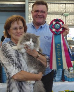 birman-show-may-2008-best-in-show-kurt-vlach1 Siberian Cat Miakoschka Gallery