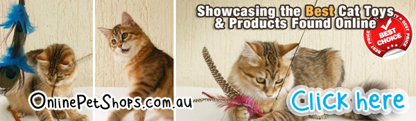 Cat Shop Online Australia