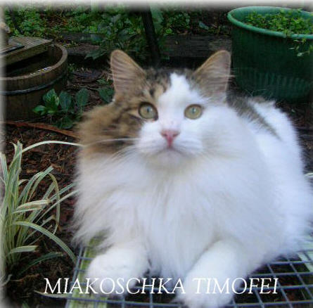dscn4378-tim.jpg