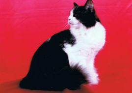 nov-08_small.jpg