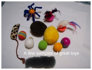 Cat Toys Cat Toys