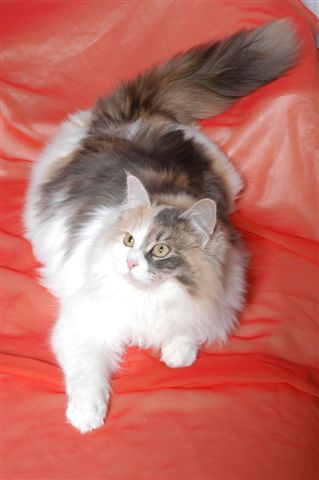 yelena-september-08.jpg