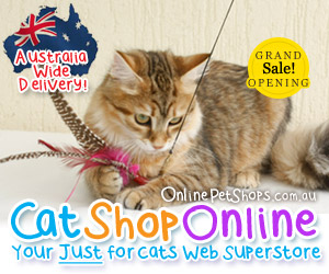Cat Shop Online