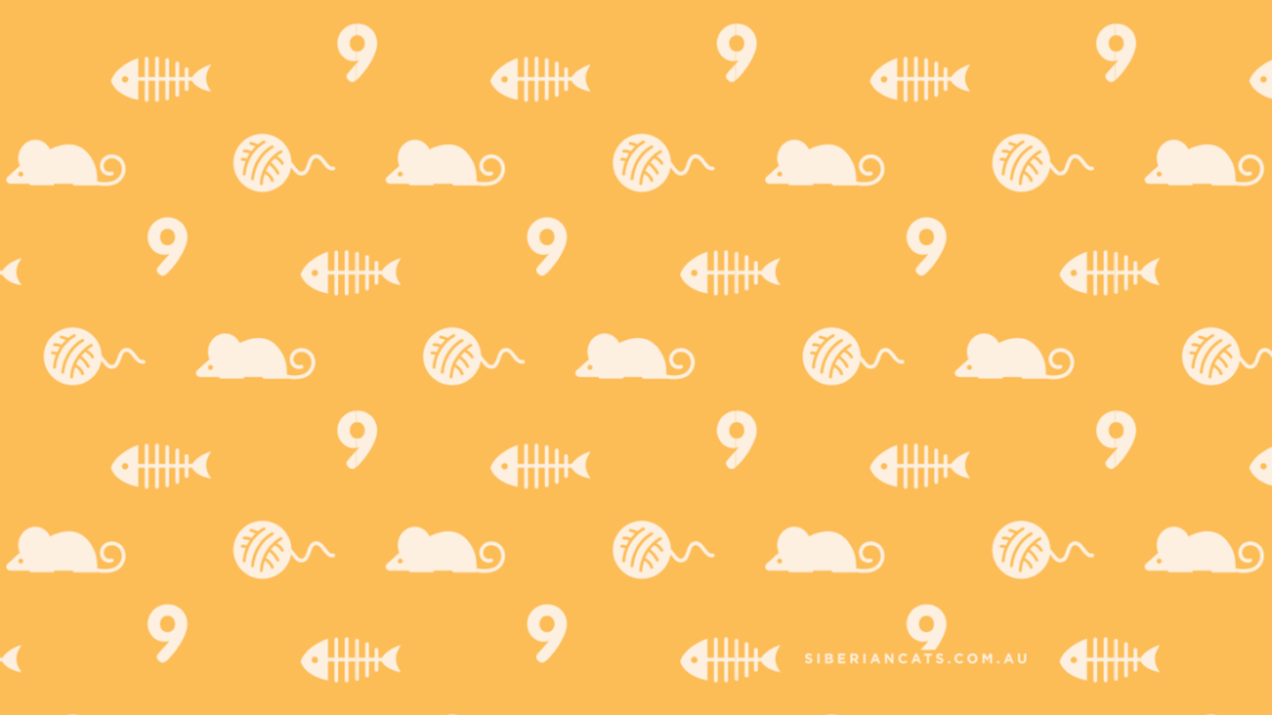 miakoschka-pattern-e1499511173957.png