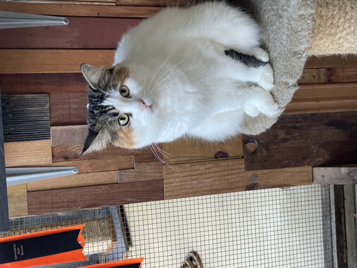 IMG_3508.jpeg