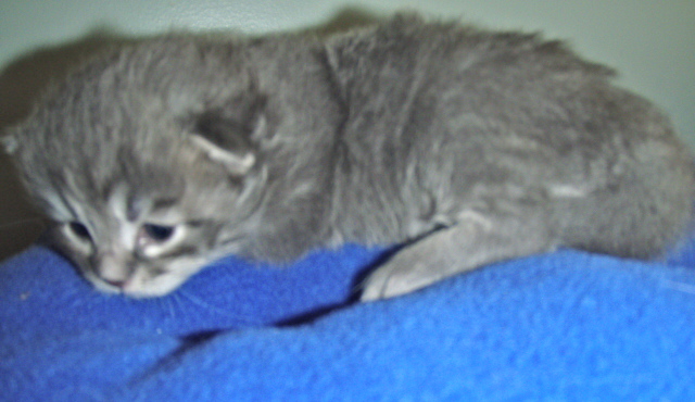 PC300030.jpg